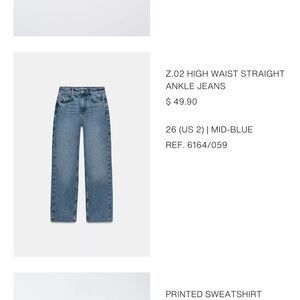 Zara High Rise Jeans - Blue